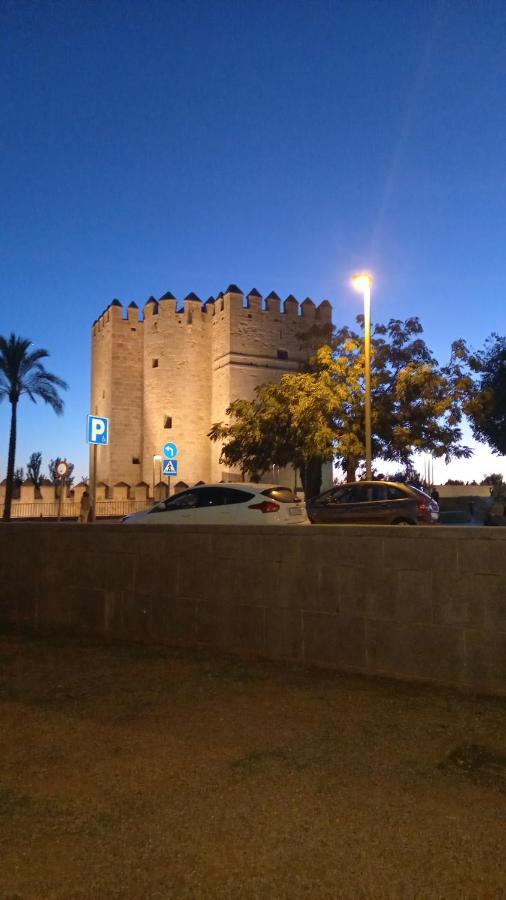 Apartamento Andalucia Кордова Экстерьер фото